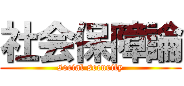 社会保障論 (social security)