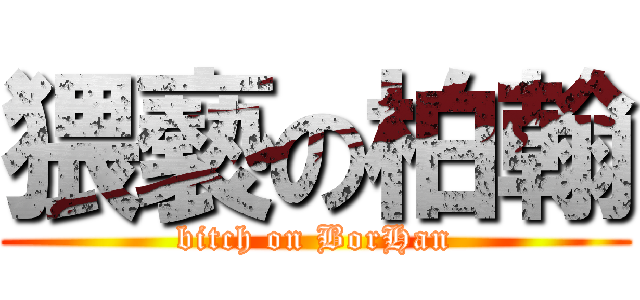 猥褻の柏翰 (bitch on BorHan)