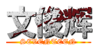 文俊辉 (SEVENTEEN)