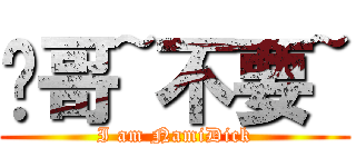 儐哥~不要~ (I am NamiDick)