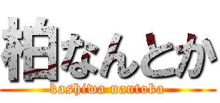 柏なんとか (kashiwa nantoka)