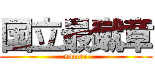 国立最蹴章 (soccer)