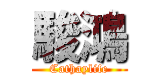 駿鴻 (Cathaylife)
