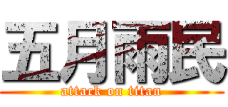 五月雨民 (attack on titan)