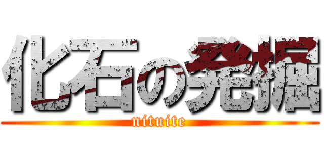 化石の発掘 (nituite)