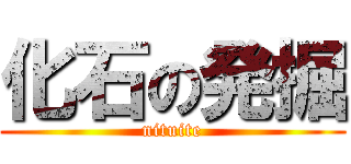 化石の発掘 (nituite)