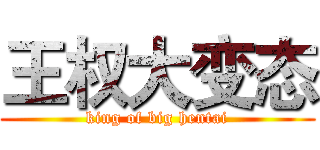 王权大变态 (king of big hentai)