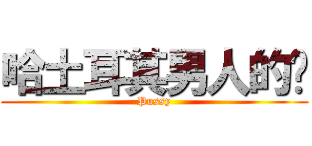 哈土耳其男人的屌 (Pussy)