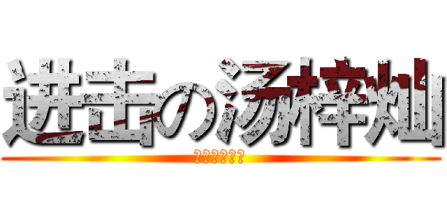 进击の汤梓灿 (同济的小逗比)
