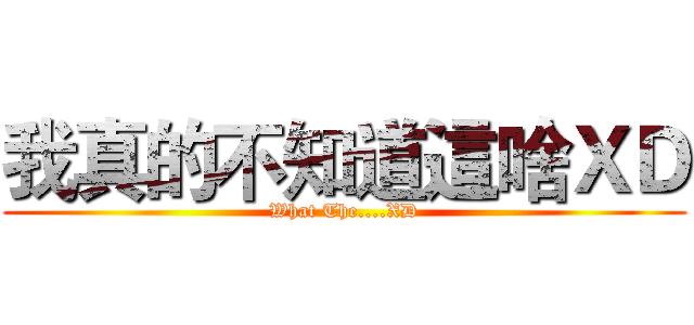 我真的不知道這啥ＸＤ (What The....XD)