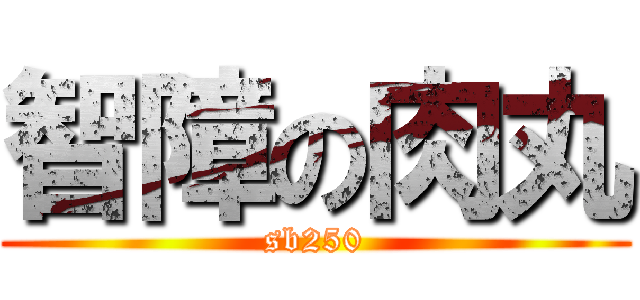智障の肉丸 (sb250)