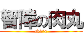 智障の肉丸 (sb250)