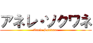 アネレ・ソクワネ (Anele Sokwane)