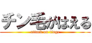 チン毛がはえる (attack on tinge)