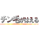 チン毛がはえる (attack on tinge)