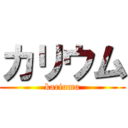 カリウム (kariumu)