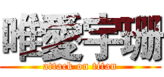 唯愛宇珊 (attack on titan)