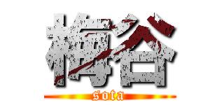 梅谷 (sota)