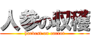 人参の収穫 (harvest on carrot)