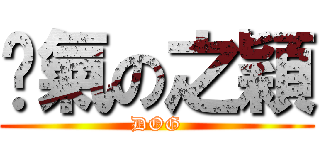 氫氣の之穎 (DOG)