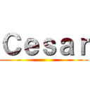 Ｃｅｓａｒ ()