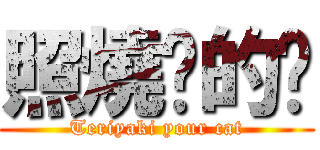 照燒你的貓 (Teriyaki your cat)