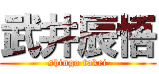 武井辰悟 (shingo takei)