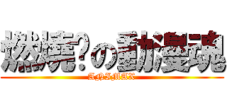 燃燒你の動漫魂 (ANIMAX)