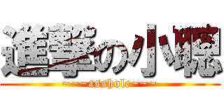 進撃の小聰 (~~~asshole~~~)