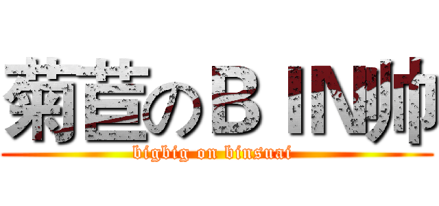 菊苣のＢＩＮ帅 (bigbig on binsuai )