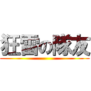 狂雷の隊友 ()