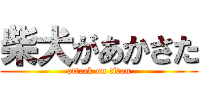 柴犬があかさた (attack on titan)