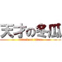 天才の冬瓜 (attack on titan)