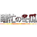 瞎忙の冬瓜 (Chaos on DG)