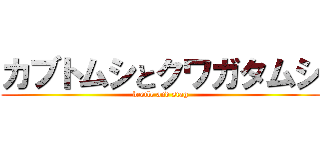 カブトムシとクワガタムシ (beetle and stag)