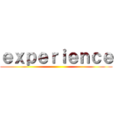 ｅｘｐｅｒｉｅｎｃｅ ()