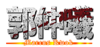 郭仲曦 (Marcus Kwok)