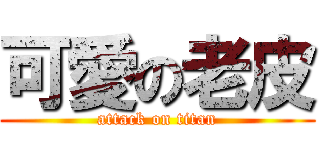 可愛の老皮 (attack on titan)