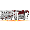 蘿莉萬歲 (attack on titan)