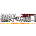 猫好の瀬口 (no cat no life )