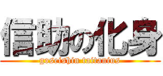 信助の化身 (goseishin taitanius)