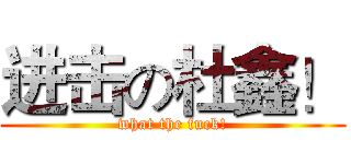 进击の杜鑫！ (what the fuck!)