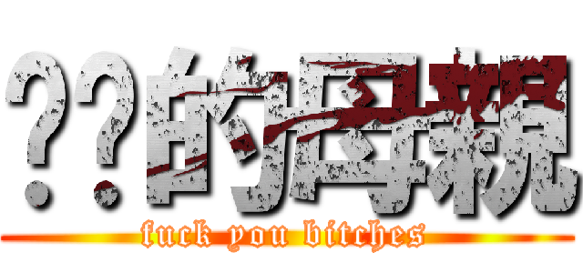 屌你的母親 (fuck you bitches)