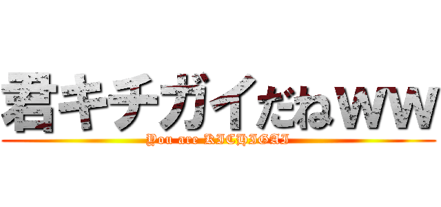 君キチガイだねｗｗ (You are KICHIGAI)