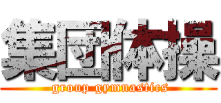 集団体操 ( group gymnastics)