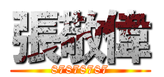 張敬偉 (87878787)