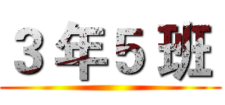 ３ 年５ 班  ()