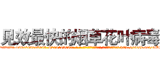 见效最快的烟草花叶病毒 (见效最快的烟草花叶病毒【电-186x2687x6963-Q278180069元-吉-药-业】我们做的是长期生意,靠的是老客户长期支持 http://sngk.net/1lU22s
)