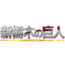 新栃木の巨人 (agori paisen)