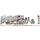 肉便器がぁ！ (attack on titan)